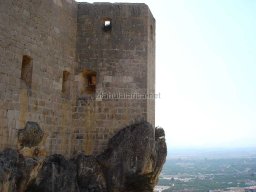 Mula Antigua serie-2